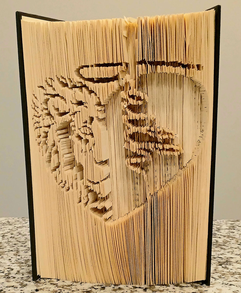 Large Lion and Faith Book Art