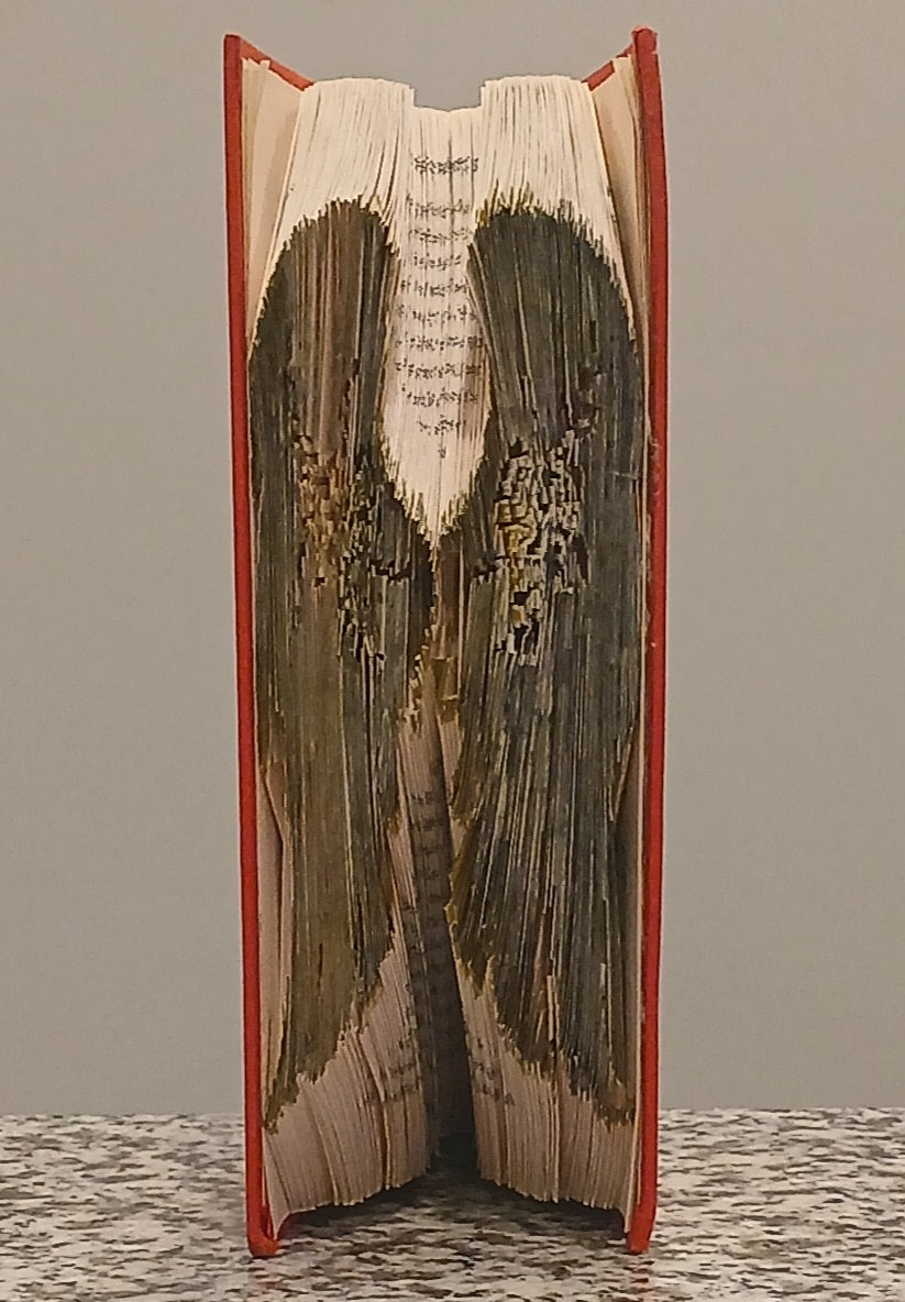WINGS