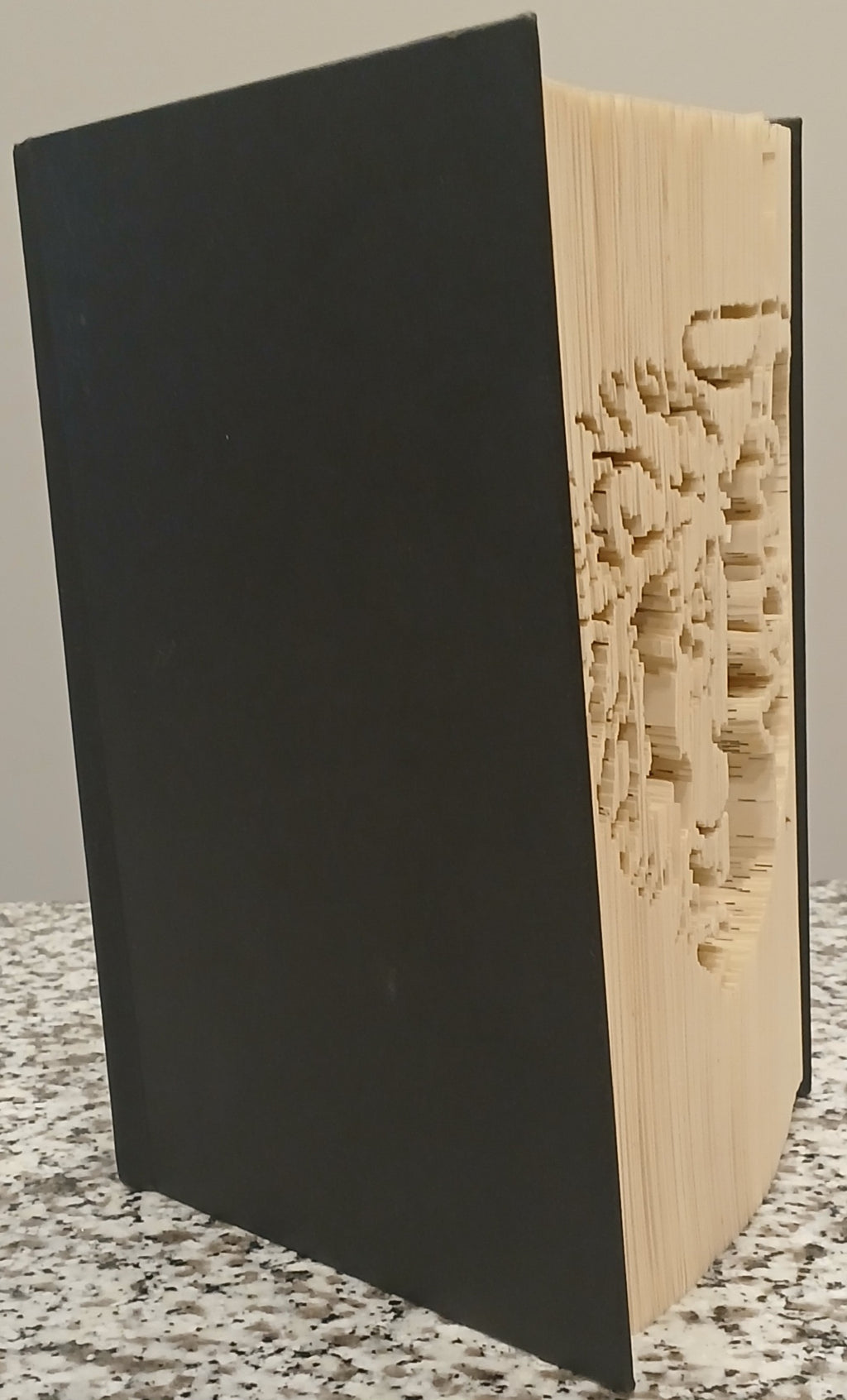 Large Lion and Faith Book Art